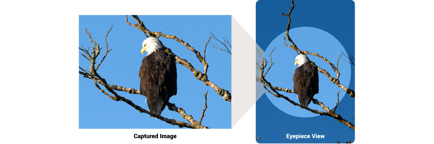 Comparison image showing eyepiece view next to captured image