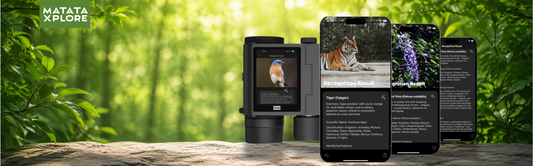 phone showing the MatataXplore Optics app , identifying tiger and lavender