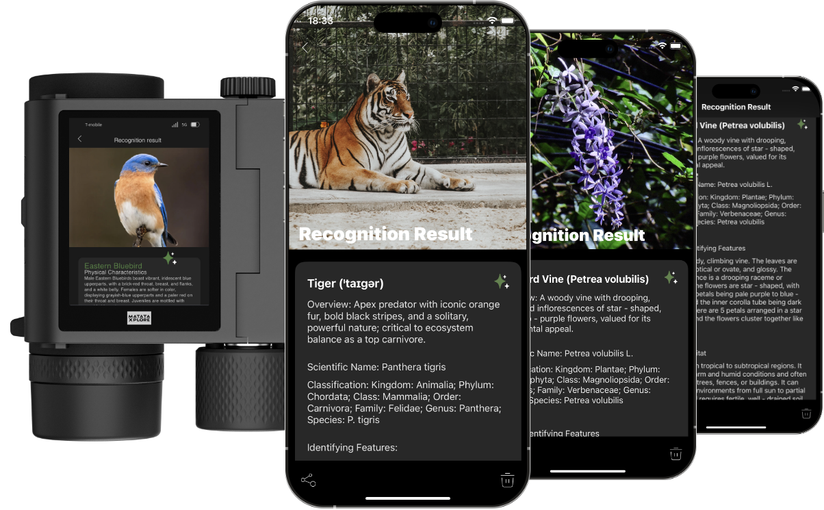 Solvia App AI Identification for birds, plants and wildlife