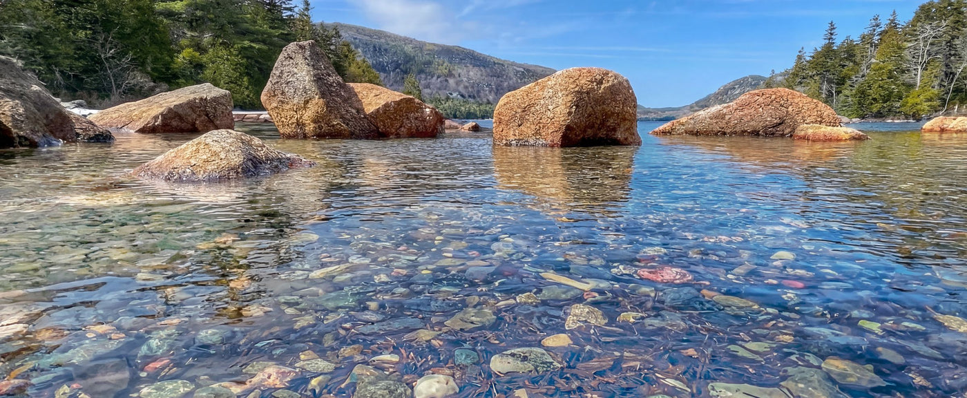 Clear water with rocks at the bottom and trees in the background