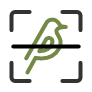 Identify Bird Icon