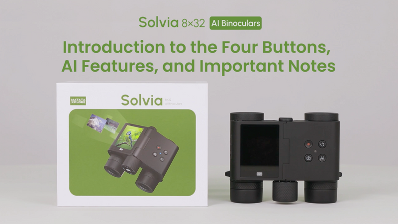 Introduction to Four Buttons and AI