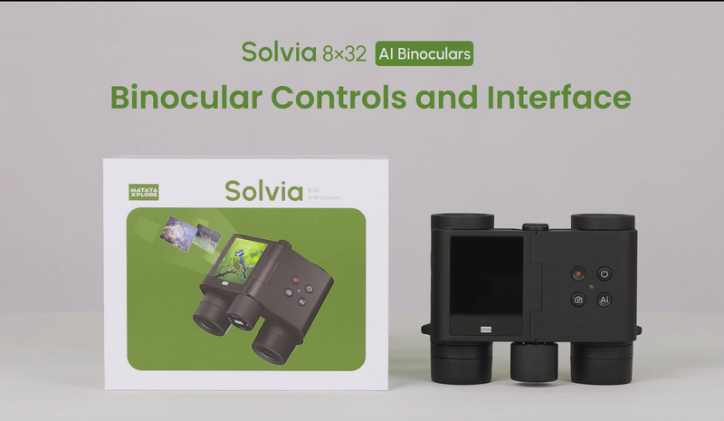 Controls and Interface