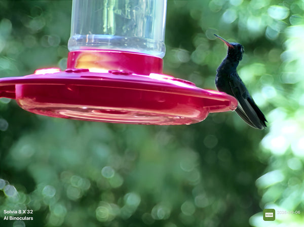 @mama.birder