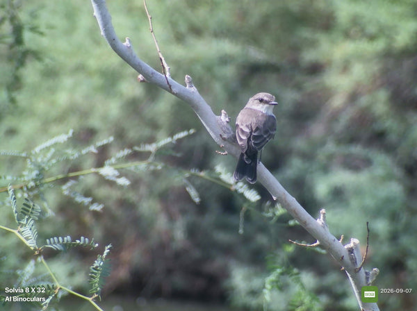 @mama.birder