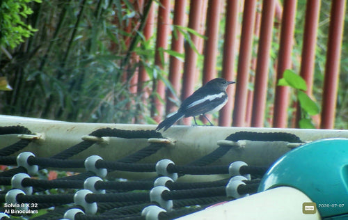 Captured with Solvia 8x32