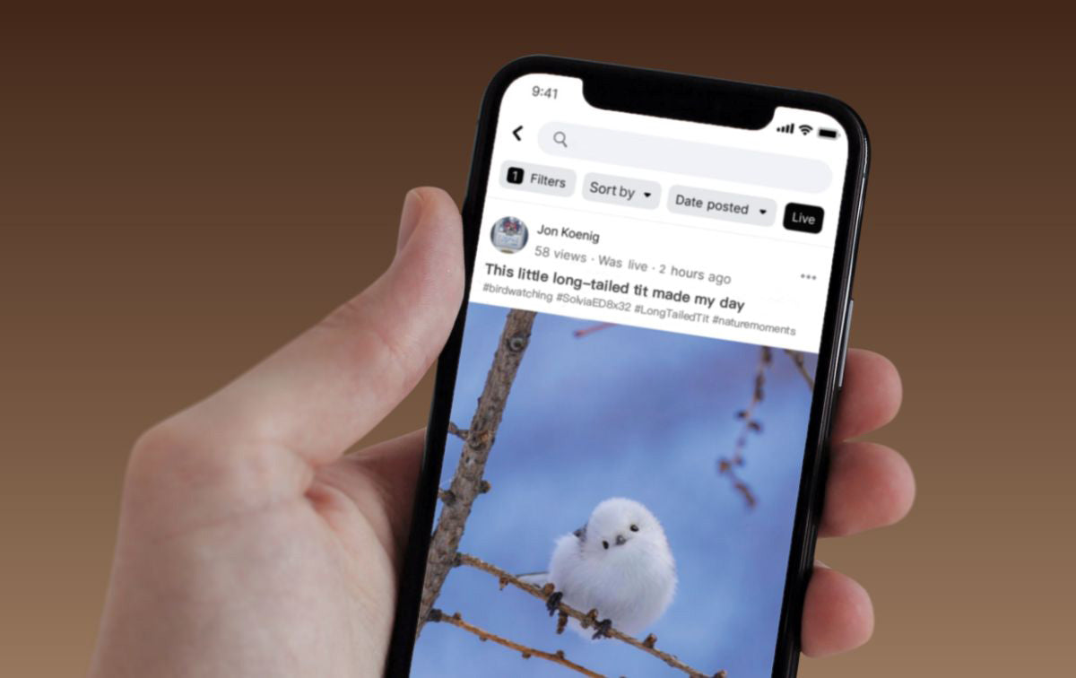 long-tail tit posted on social media