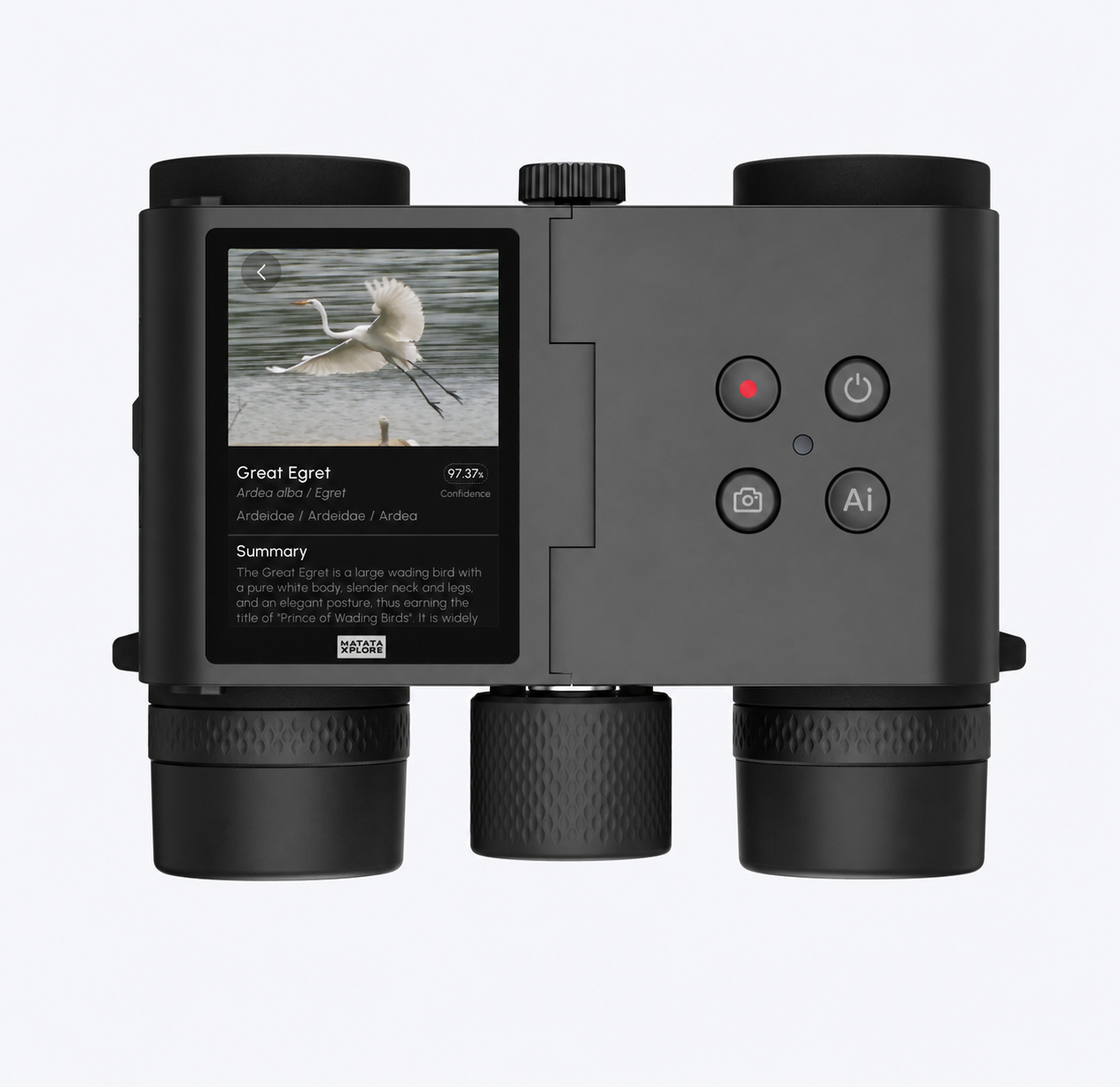 Solvia 8x32 compact binoculars front view against white background